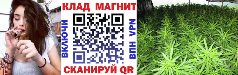 Купить Спасск-Рязанский МЕТАДОН  АМФЕТАМИН  Псилоцибиновые грибы  A PVP  МЕФ  ГАШ 