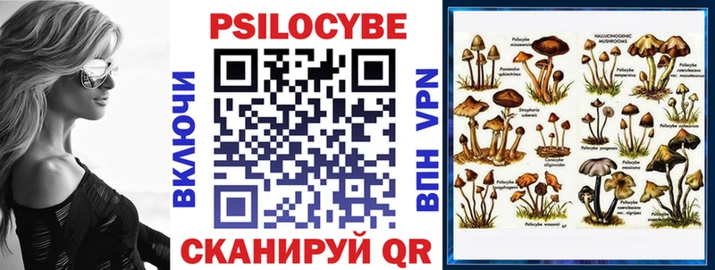 Галлюциногенные грибы Cubensis  цены   Спасск-Рязанский 